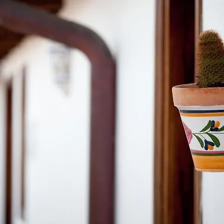 Hotelito El Tejado Ξενοδοχείο Buenavista Del Norte