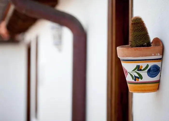 Hotelito El Tejado מלון בואנה ויסטה דל נורטה